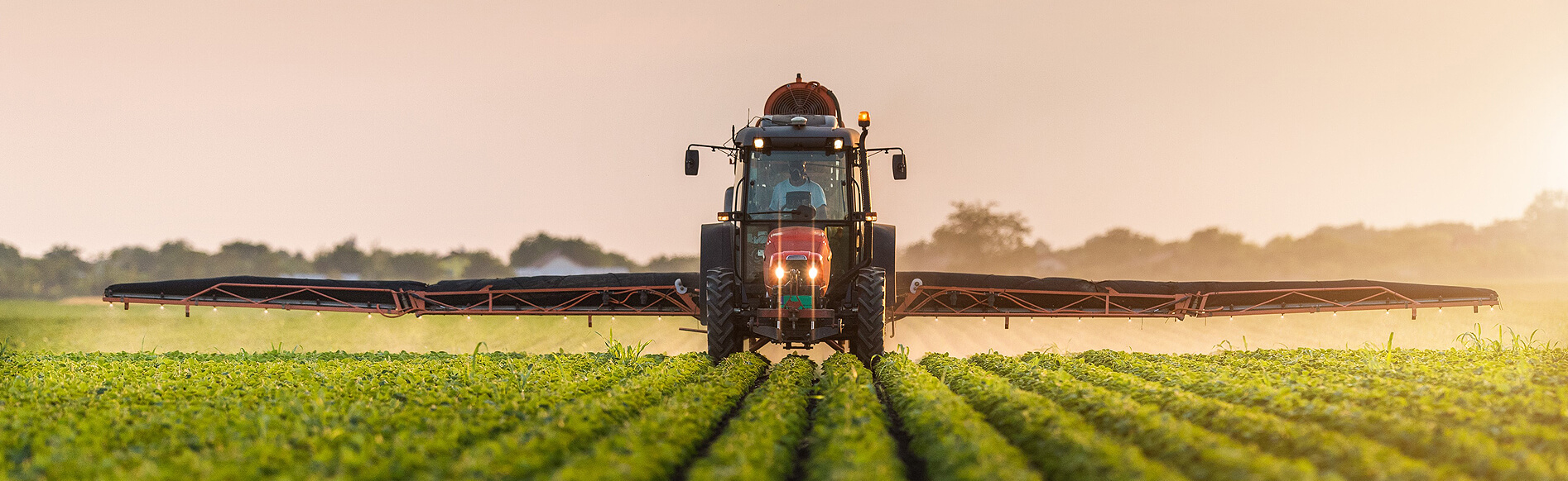 Actividad agrícola en un campo al amanecer